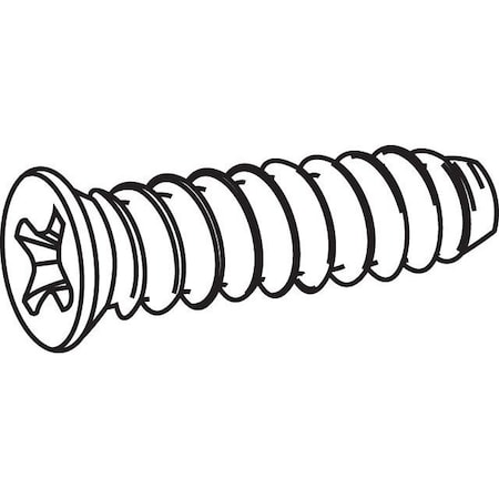 Strybuc Balance Screw 10x3/4 PH 20-001